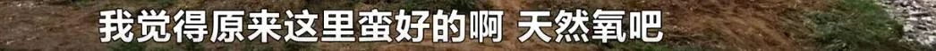 DƬ